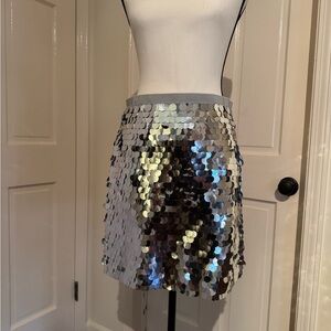 NWT Ann Taylor Silver Sequin Women's Skirt